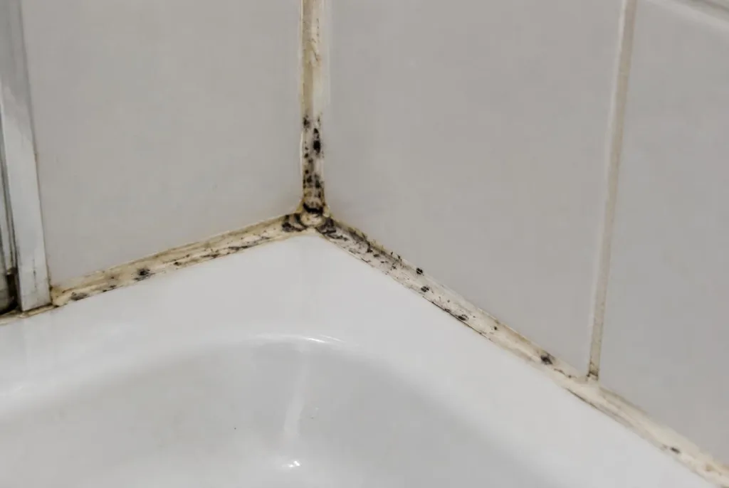 Kitbedrijf Twello – beschimmelde kitranden